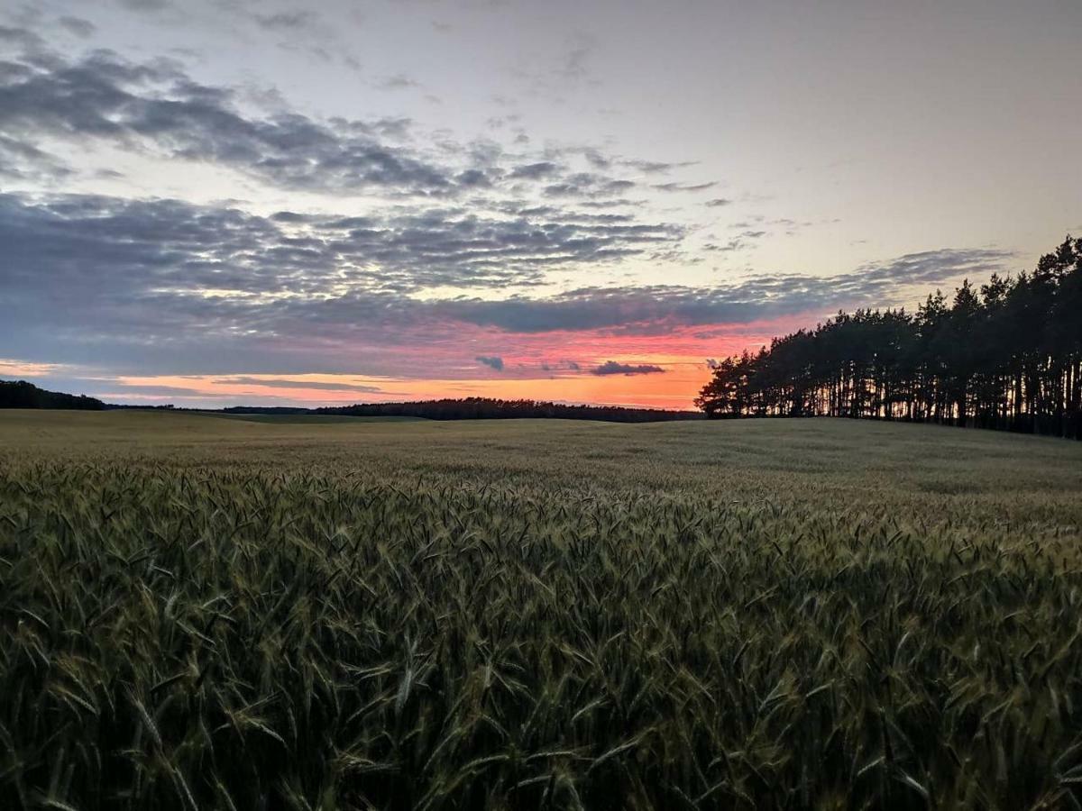 Stawy U Sikory - Dom Rybak - Agroturystyka I Lowisko Nowa Wies  Dış mekan fotoğraf
